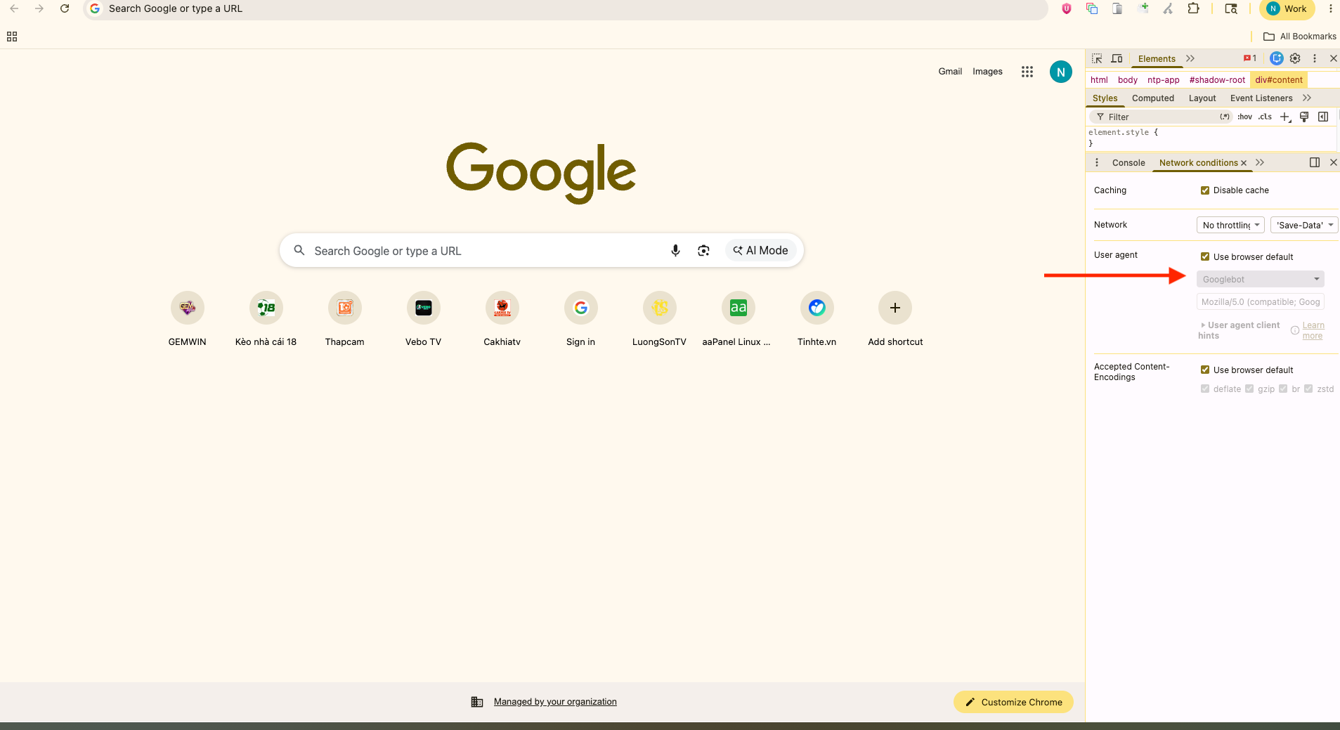Cấu hình Googlebot User Agent