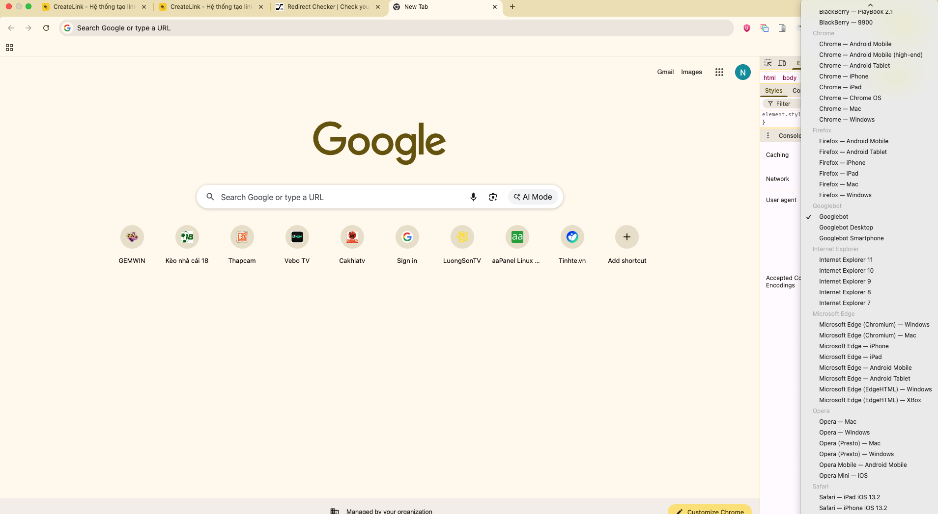 Giao diện hiển thị Site Template cho Googlebot